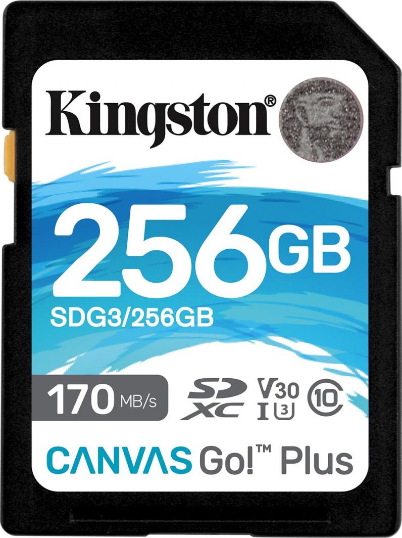 - karta pamieci SD  256GB SDXC  Kingston Canvas Go! Plus 170MB/90MB