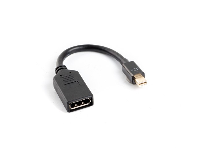 Adapter mini DisplayPort męski na DisplayPort żeński  Lanberg