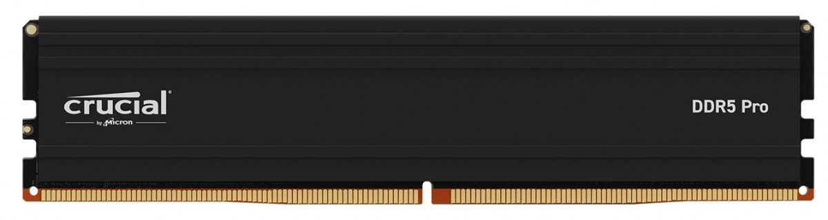 DIMM PC-6000 DDR5   24GB      Crucial Pro
