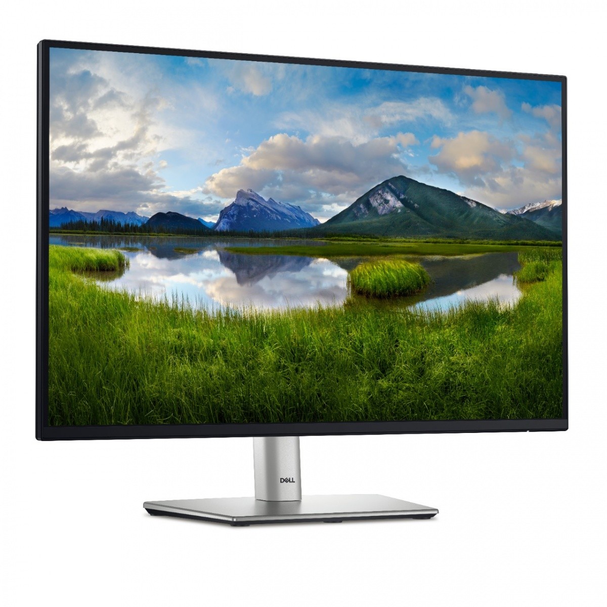 Monitor 24" Dell P2425 - 5 lat gwarancji - obrazek 2