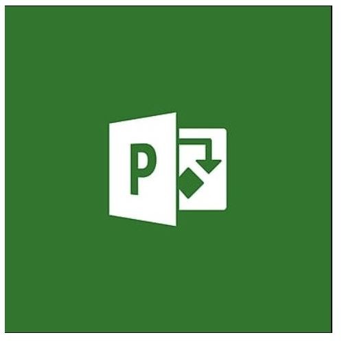 Project 2021 Professional - Wersja wielojęzyczna - Licencja Elektroniczna ESD