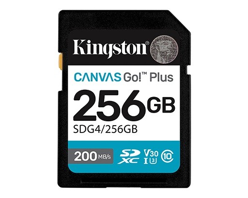 - karta pamieci SD 256GB SDXC Kingston Canvas Go! Plus 200MB/160MB
