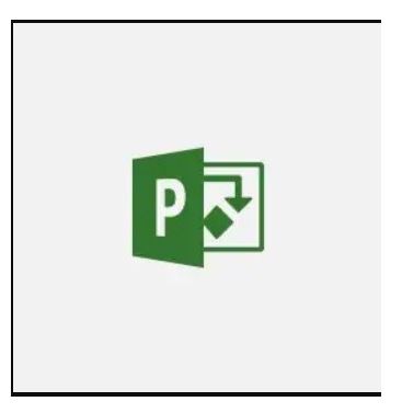 Project 2021 Standard - Wersja wielojęzyczna - Licencja Elektroniczna ESD