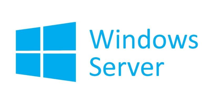 Microsoft Windows Server CAL 2022 Polish 1pk DSP OEI 10 Clt User CAL