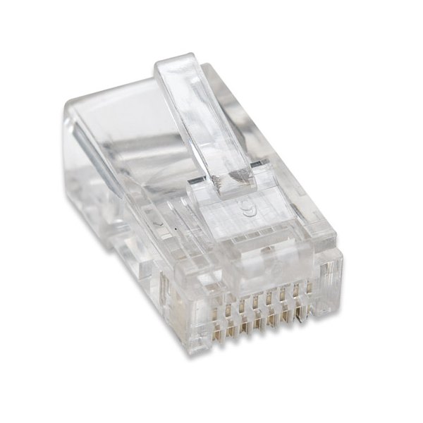 Wtyk RJ45 zaciskany kat.5e UTP 100 szt. Słoik Intellinet - obrazek 3
