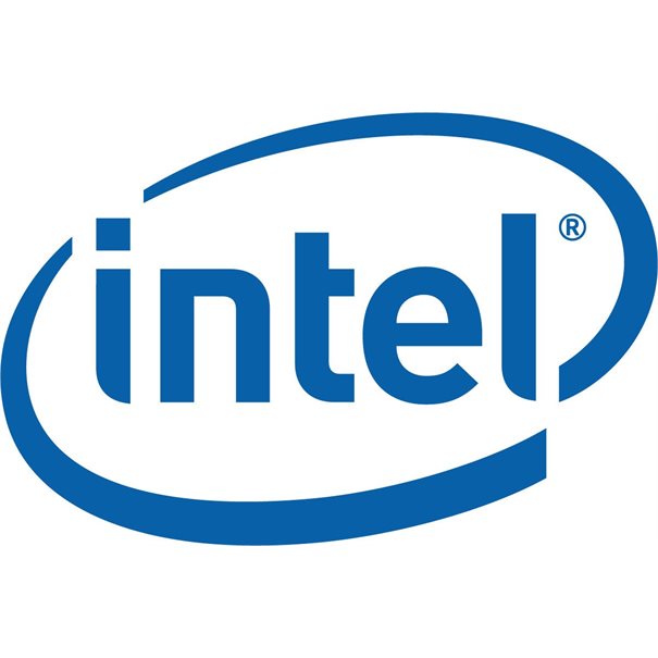 Intel AXXRMM4LITE2