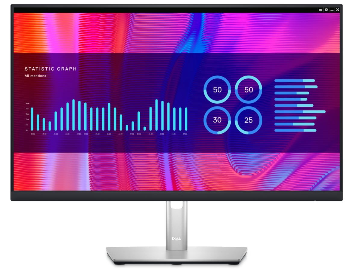 Monitor 23,8" Dell P2423DE