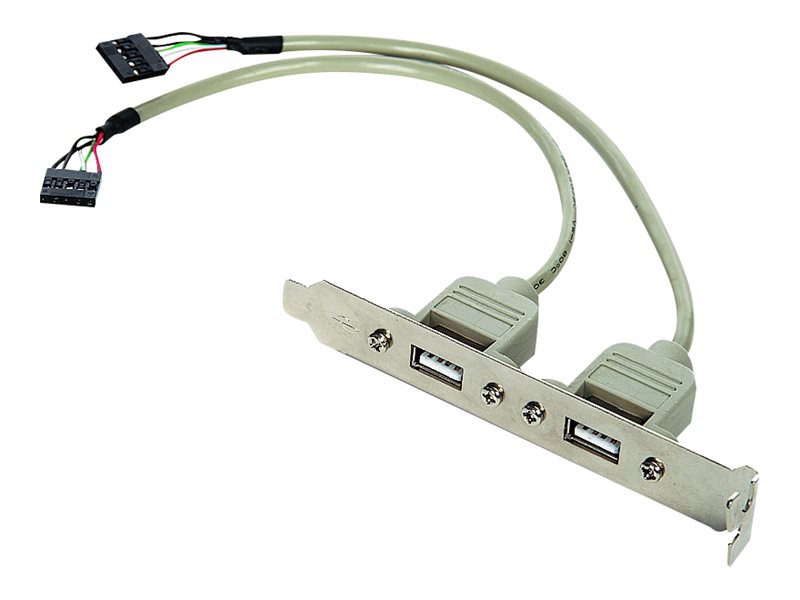 USB 2.0 x 2 na śledziu do płyty głównej Gembird