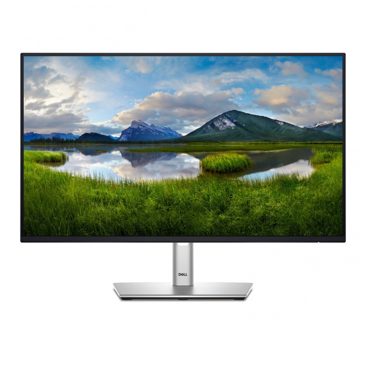 Monitor 23,8" Dell P2425HE