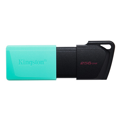Flashdrive 256GB USB 3.2 Kingston DataTraveler Exodia M