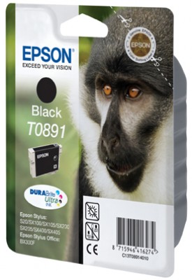Tusz Epson T0891 Black 5,8 ml.